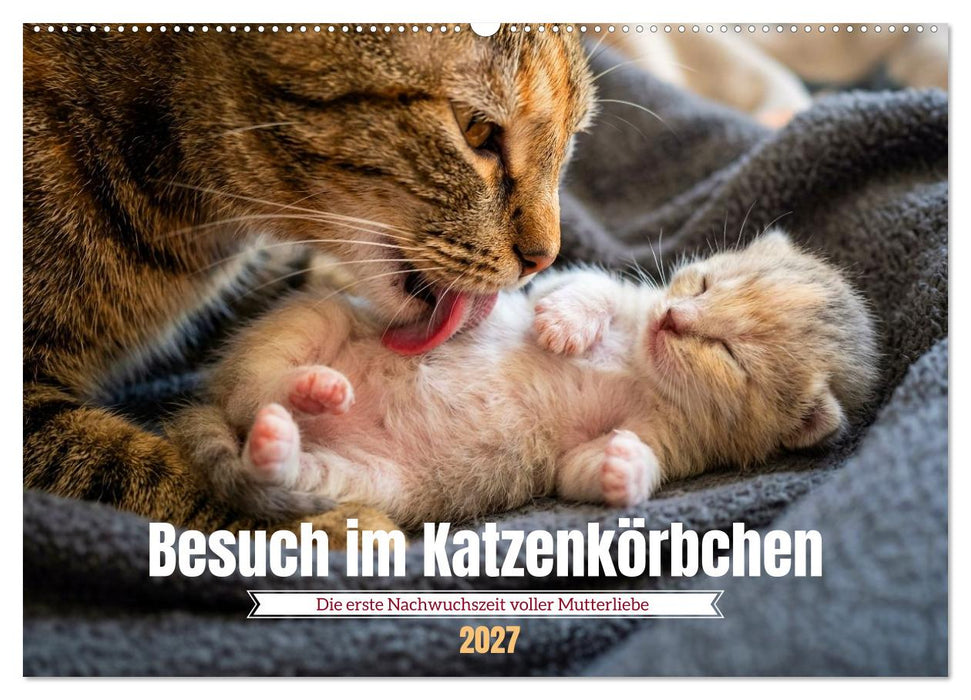 Besuch im Katzenkörbchen (CALVENDO Wandkalender 2027)