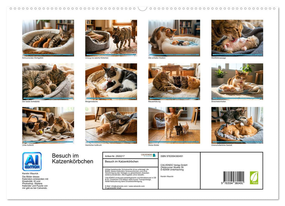 Besuch im Katzenkörbchen (CALVENDO Wandkalender 2027)