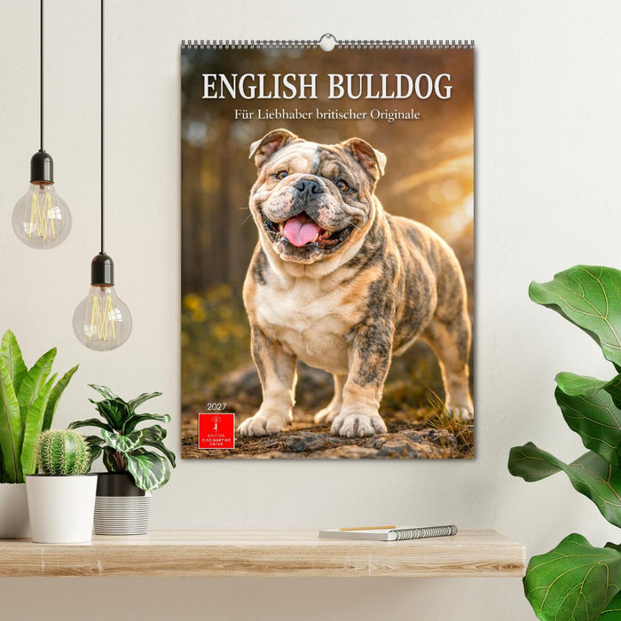 English Bulldog - Für Liebhaber britischer Originale (CALVENDO Wandkalender 2027)