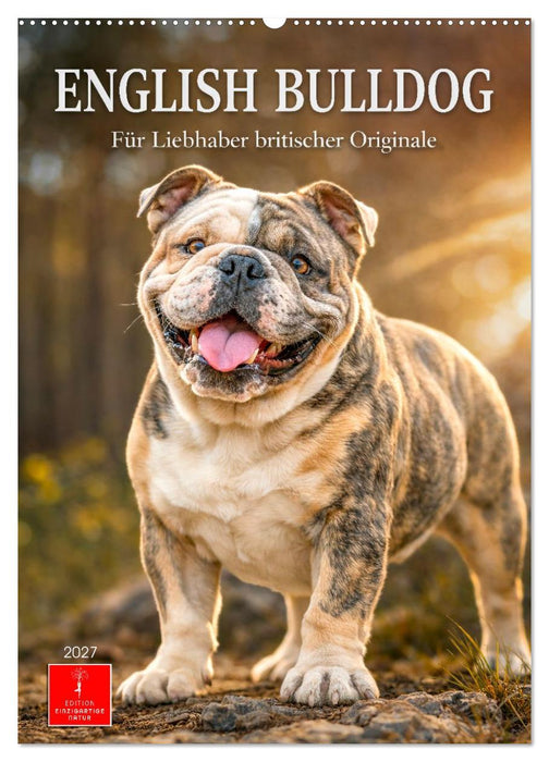 English Bulldog - Für Liebhaber britischer Originale (CALVENDO Wandkalender 2027)