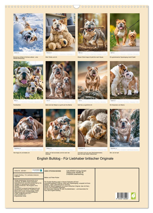 English Bulldog - Für Liebhaber britischer Originale (CALVENDO Wandkalender 2027)