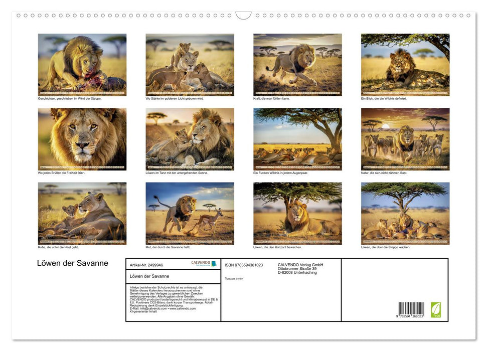 Löwen der Savanne (CALVENDO Wandkalender 2027)