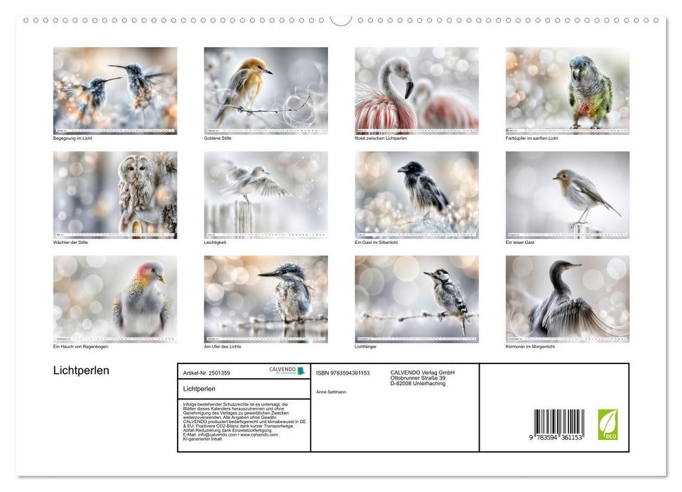 Lichtperlen (CALVENDO Premium Wandkalender 2027)