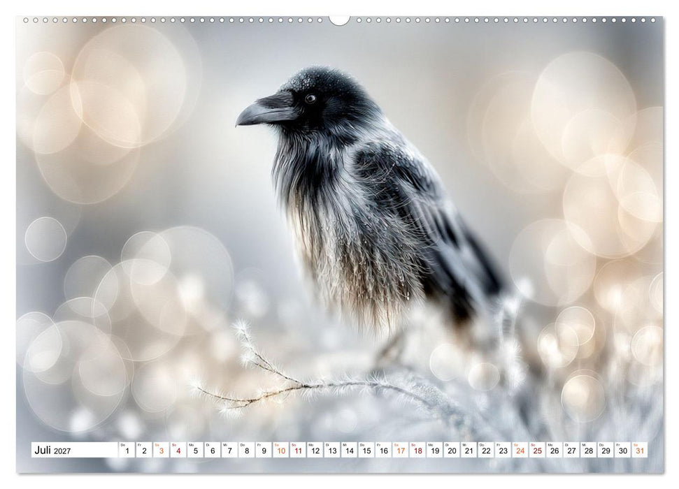 Lichtperlen (CALVENDO Premium Wandkalender 2027)