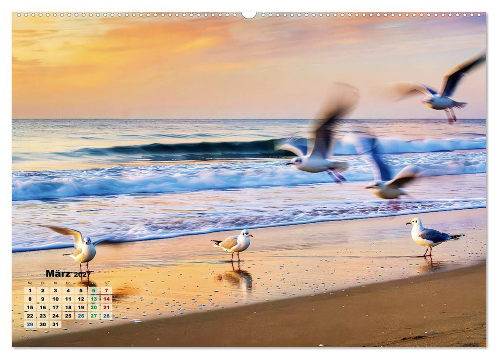Minimal-Art - am Strand (CALVENDO Premium Wandkalender 2027)