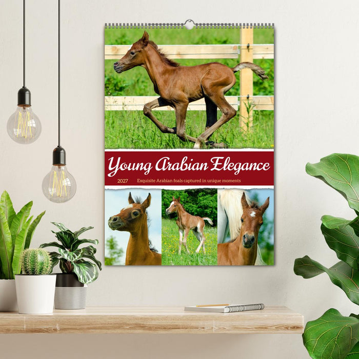 Young Arabian Elegance (CALVENDO Monthly Calendar 2027)