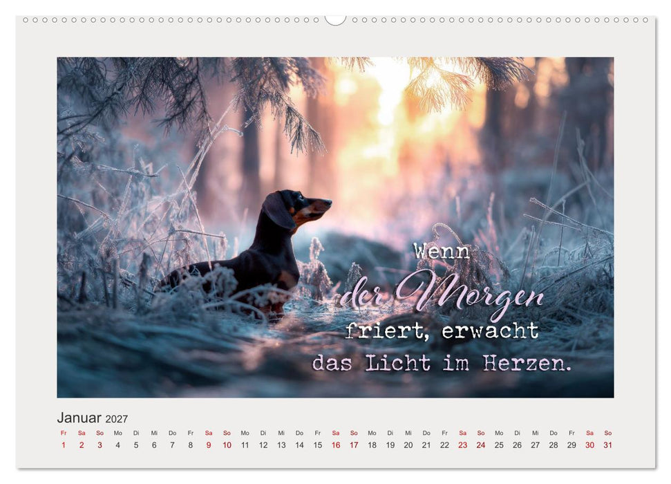 Hundepoesie - Augenblicke voller Seele (CALVENDO Premium Wandkalender 2027)