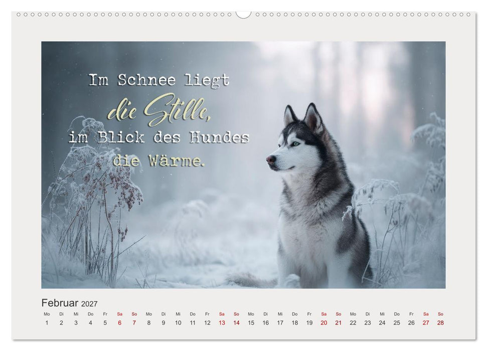 Hundepoesie - Augenblicke voller Seele (CALVENDO Premium Wandkalender 2027)