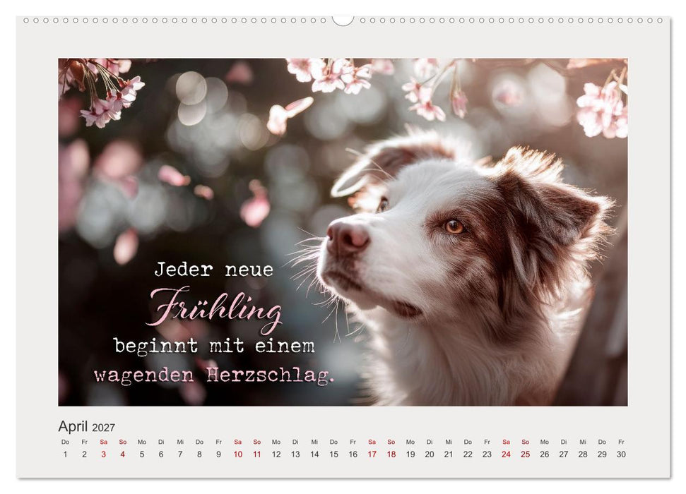 Hundepoesie - Augenblicke voller Seele (CALVENDO Premium Wandkalender 2027)