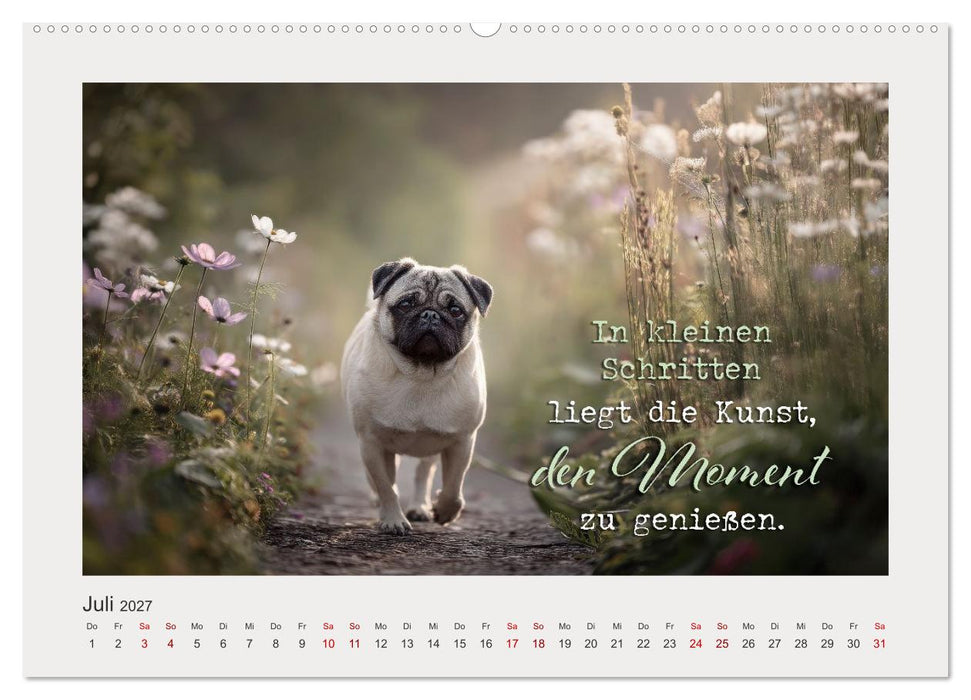 Hundepoesie - Augenblicke voller Seele (CALVENDO Premium Wandkalender 2027)