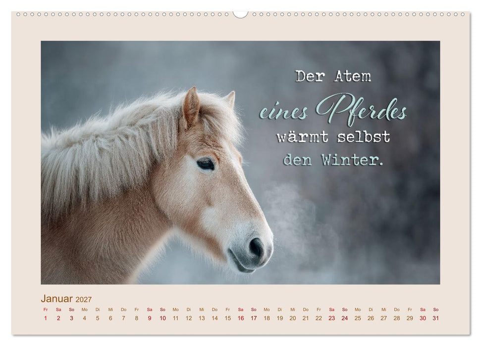 Pferdepoesie - Augenblicke voller Seele (CALVENDO Premium Wandkalender 2027)