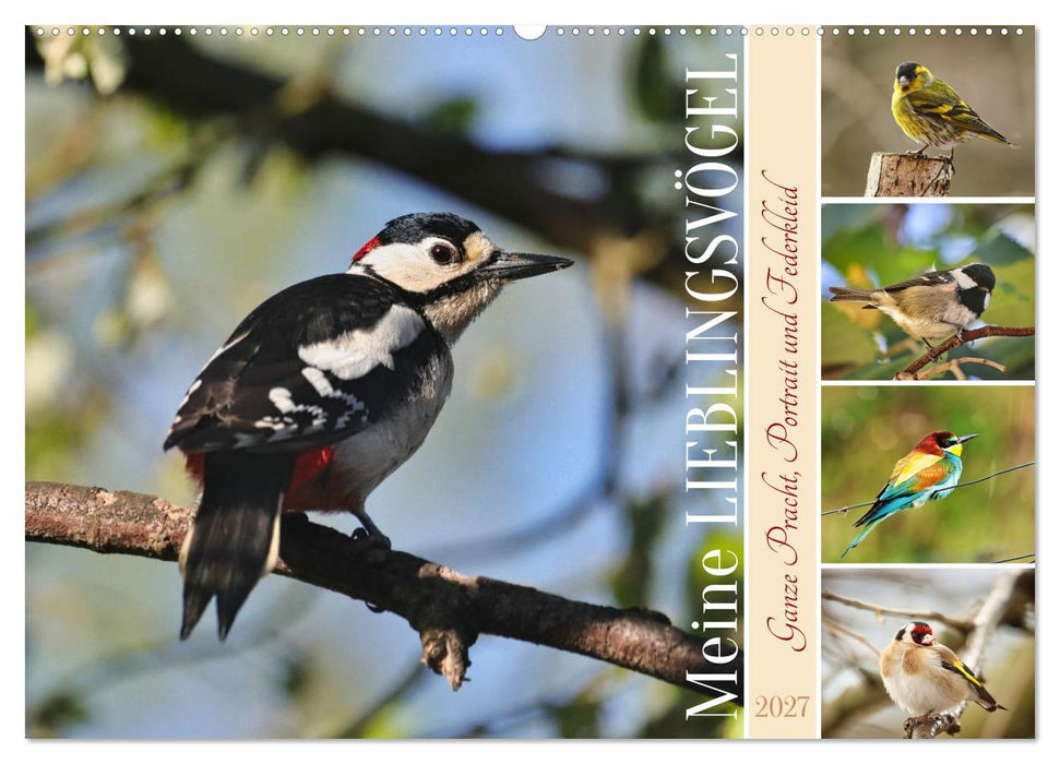 Meine Lieblingsvögel (CALVENDO Wandkalender 2027)