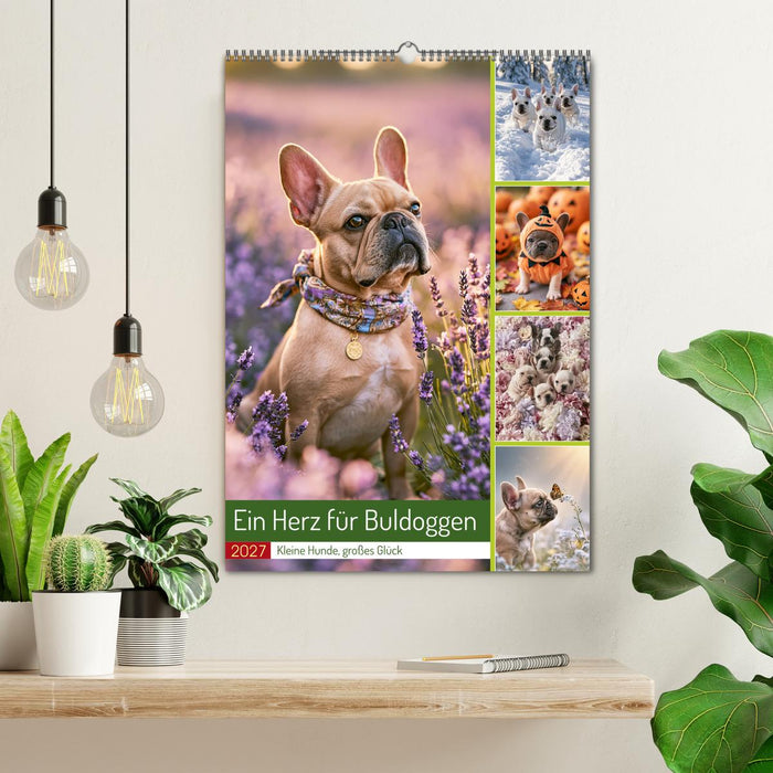 Ein Herz für Buldoggen (CALVENDO Wandkalender 2027)