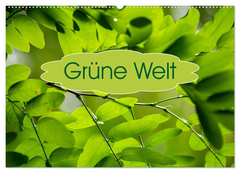 Grüne Welten (CALVENDO Wandkalender 2027)