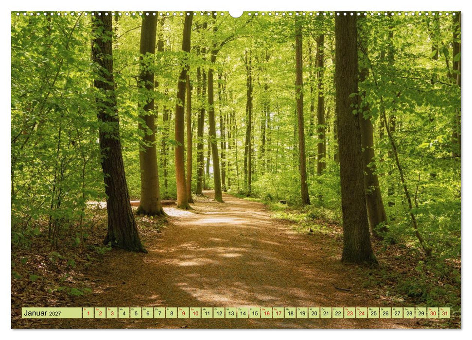 Grüne Welten (CALVENDO Wandkalender 2027)