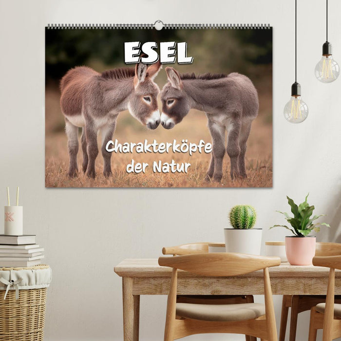 Esel - Charakterköpfe der Natur (CALVENDO Wandkalender 2027)