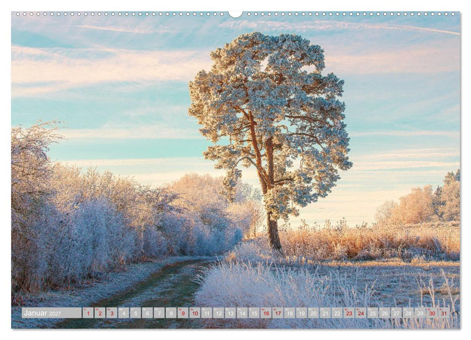 Vogtland in all seiner Vielfalt (CALVENDO Wandkalender 2027)