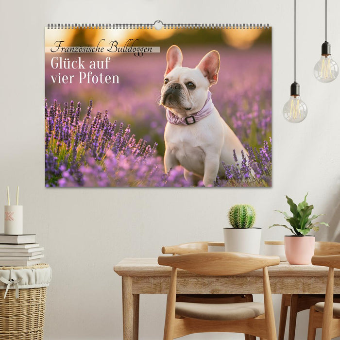 Französische Bulldoggen (CALVENDO Wandkalender 2027)