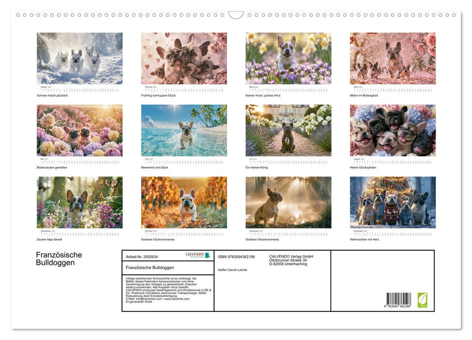 Französische Bulldoggen (CALVENDO Wandkalender 2027)