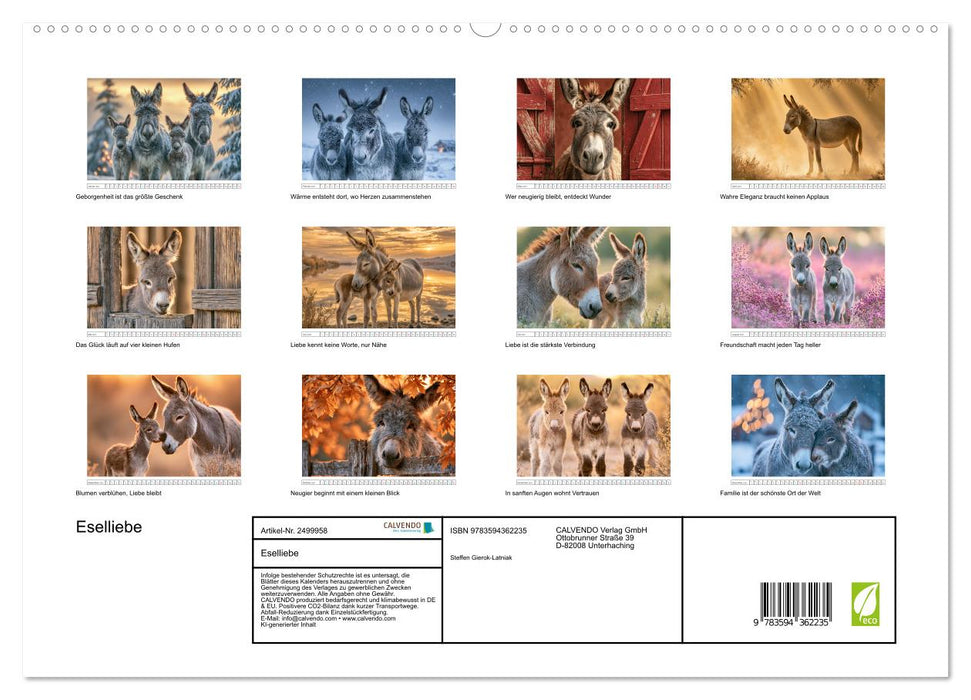 Eselliebe (CALVENDO Premium Wandkalender 2027)