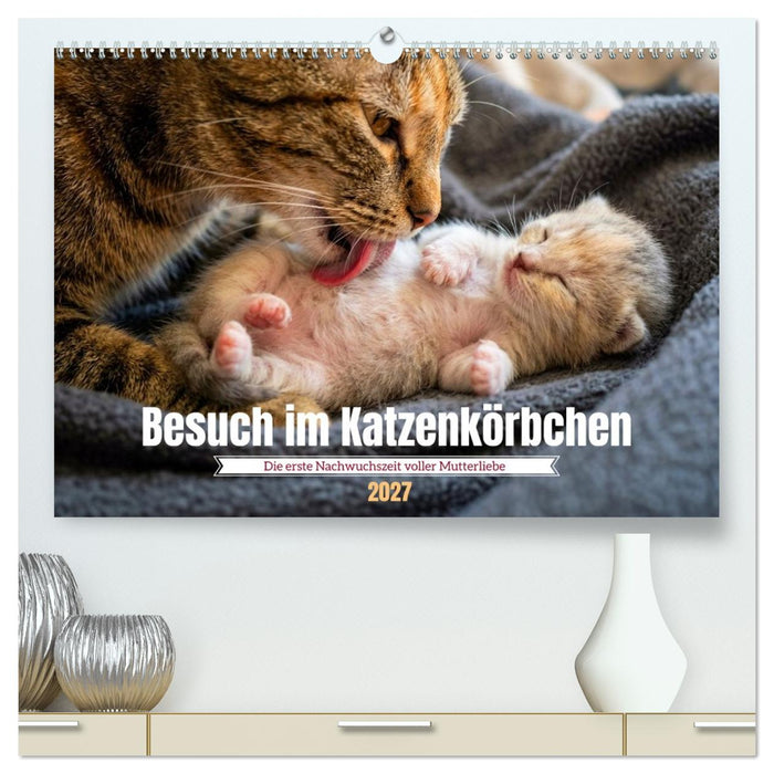 Besuch im Katzenkörbchen (CALVENDO Premium Wandkalender 2027)
