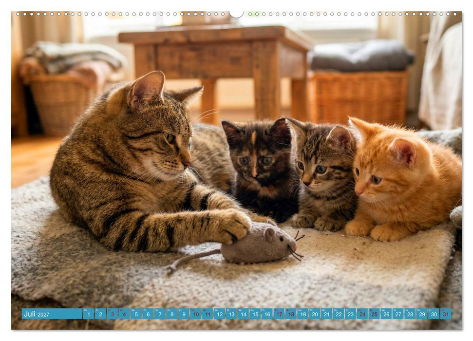 Besuch im Katzenkörbchen (CALVENDO Premium Wandkalender 2027)