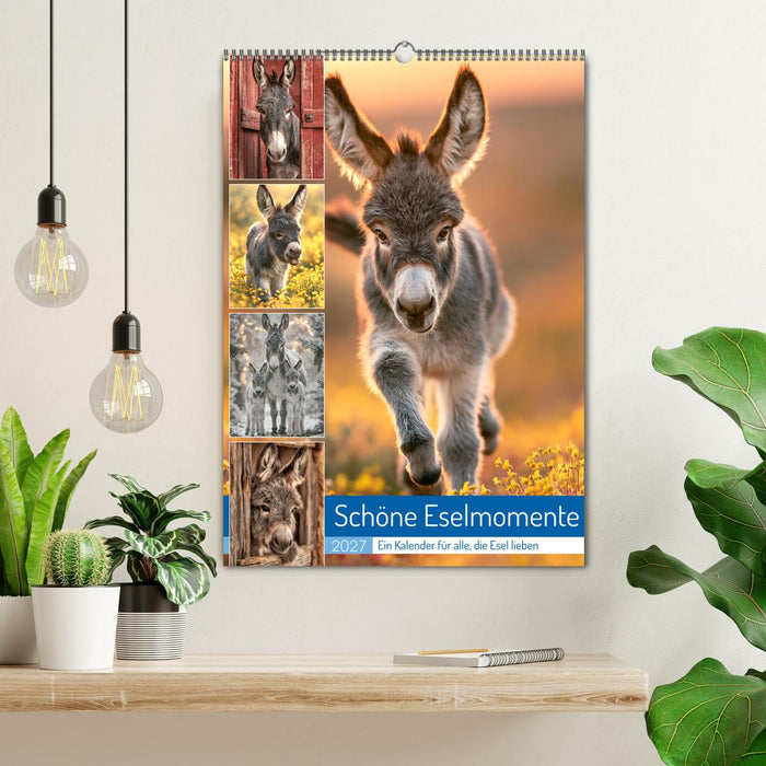 Schöne Eselmomente (CALVENDO Wandkalender 2027)