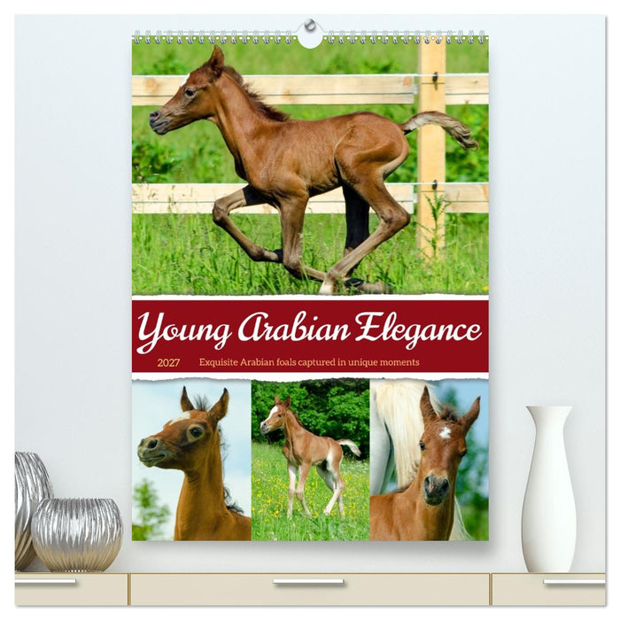 Young Arabian Elegance (CALVENDO Premium-Calendar 2027)