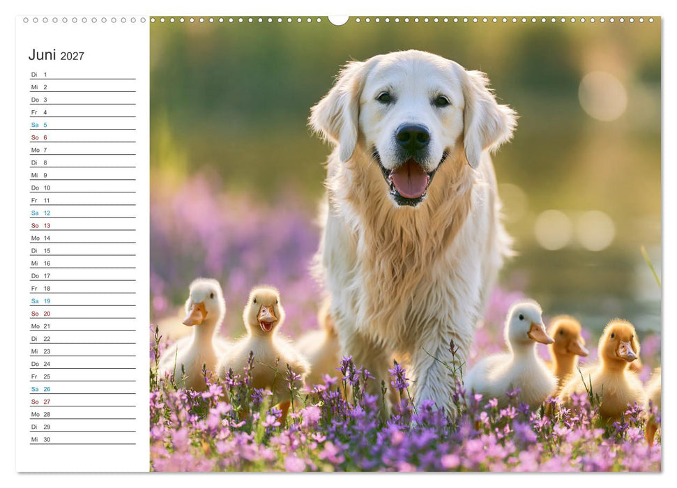 Bauernhofzauber (CALVENDO Premium Wandkalender 2027)
