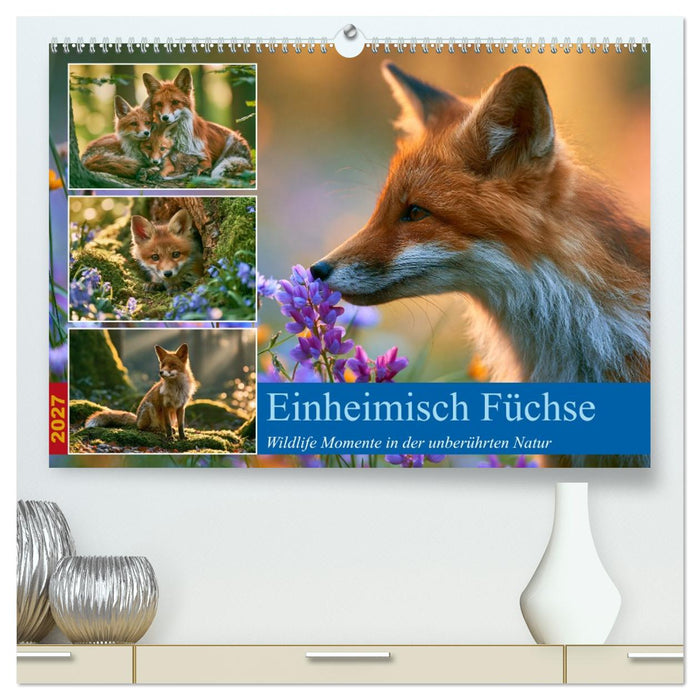 Einheimische Füchse (CALVENDO Premium Wandkalender 2027)