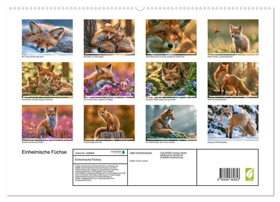 Einheimische Füchse (CALVENDO Premium Wandkalender 2027)