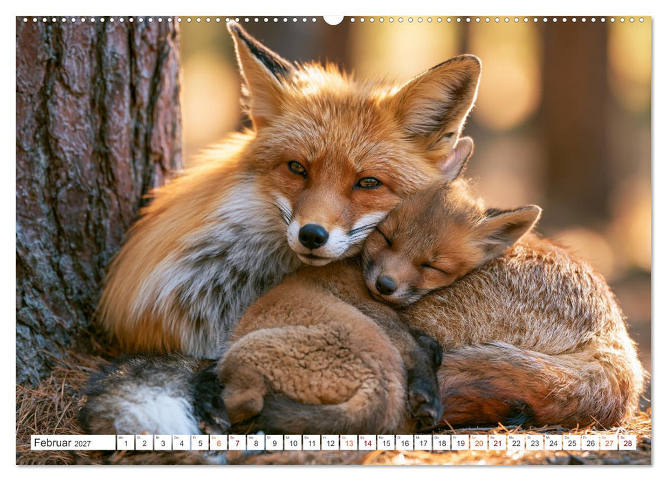 Einheimische Füchse (CALVENDO Premium Wandkalender 2027)