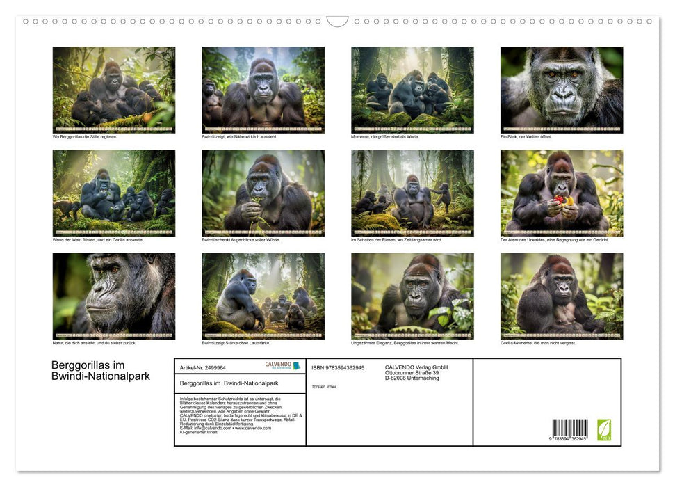 Berggorillas im Bwindi-Nationalpark (CALVENDO Wandkalender 2027)