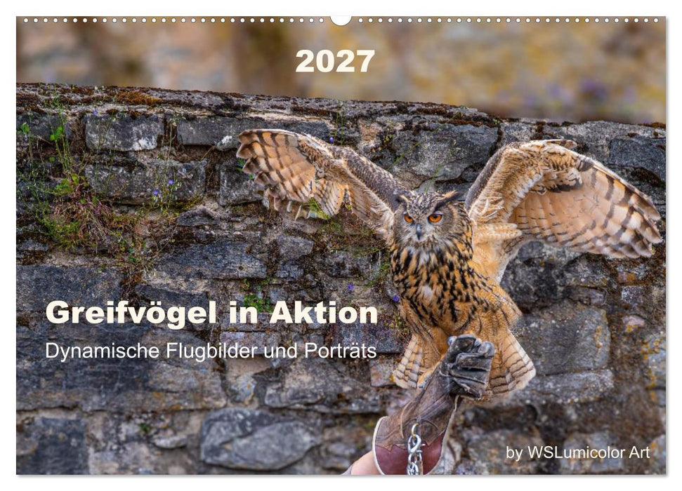 Greifvögel in Aktion - Dynamische Flugbilder und Porträts (CALVENDO Wandkalender 2027)
