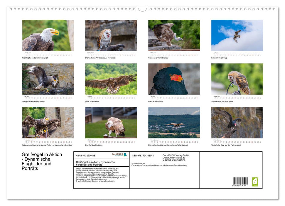 Greifvögel in Aktion - Dynamische Flugbilder und Porträts (CALVENDO Wandkalender 2027)