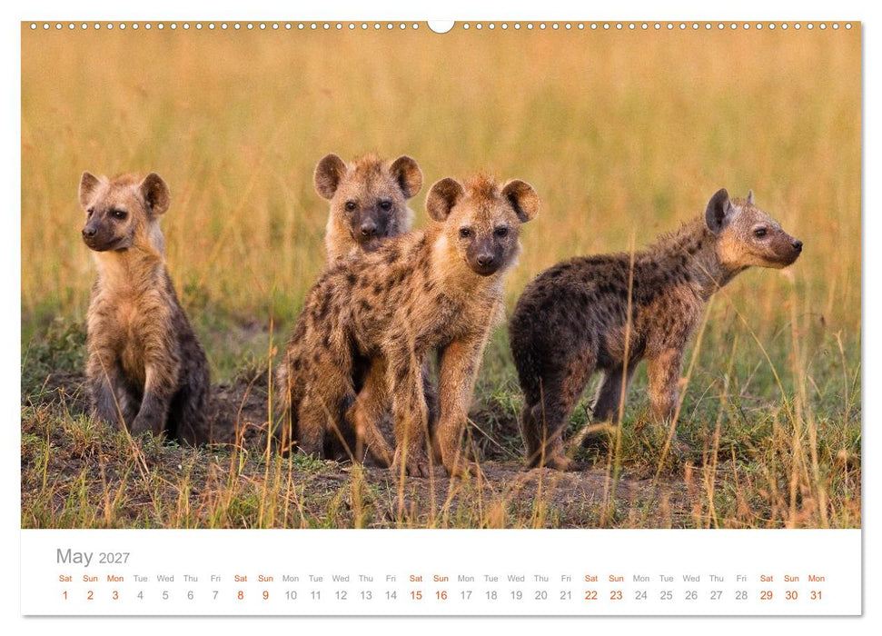 Africa Wildlife Photography (CALVENDO Premium-Calendar 2027)