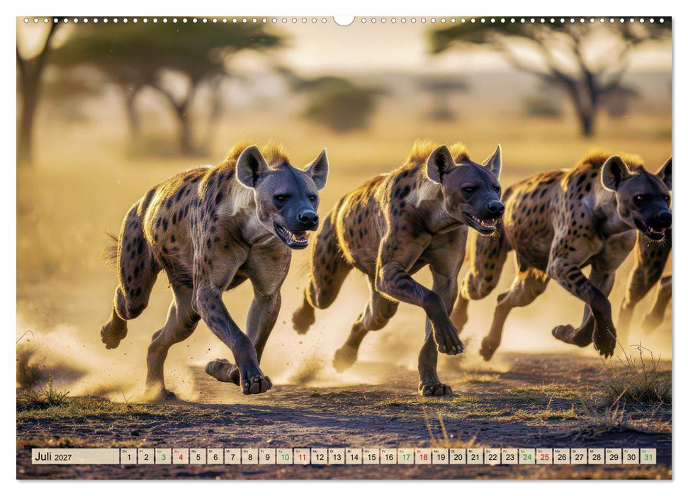 Tüpfelhyänen - Jäger der Savanne (CALVENDO Premium Wandkalender 2027)