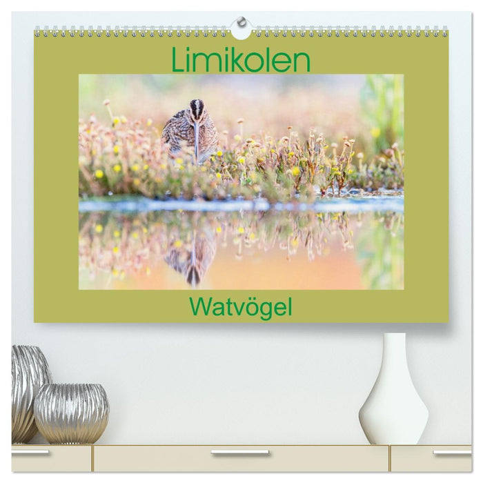 Limikolen - Watvögel aus Europa (CALVENDO Premium Wandkalender 2027)