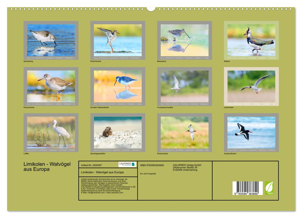 Limikolen - Watvögel aus Europa (CALVENDO Premium Wandkalender 2027)