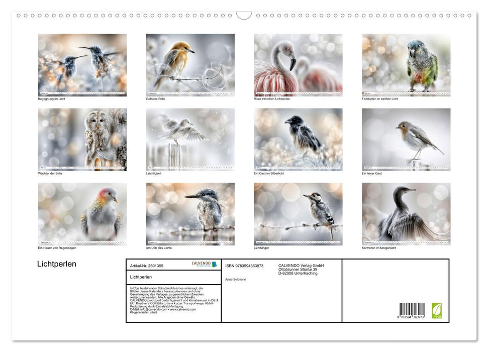 Lichtperlen (CALVENDO Wandkalender 2027)