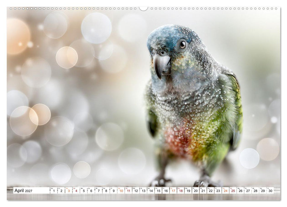 Lichtperlen (CALVENDO Wandkalender 2027)