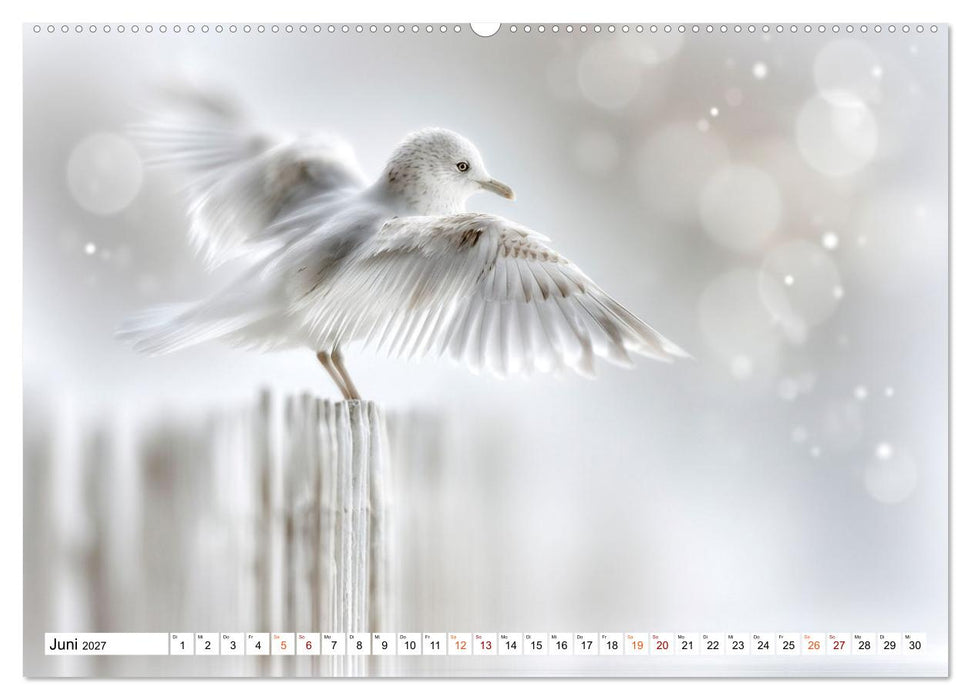 Lichtperlen (CALVENDO Wandkalender 2027)