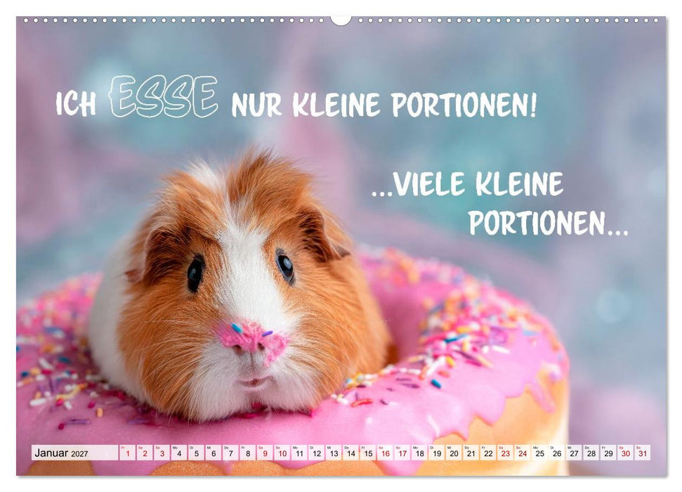 Meerschweinchen - Echt zum Quieken (CALVENDO Premium Wandkalender 2027)