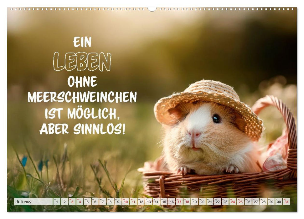 Meerschweinchen - Echt zum Quieken (CALVENDO Premium Wandkalender 2027)