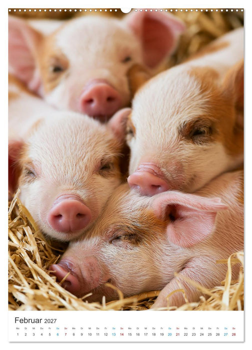 Tierische Landliebe (CALVENDO Premium Wandkalender 2027)