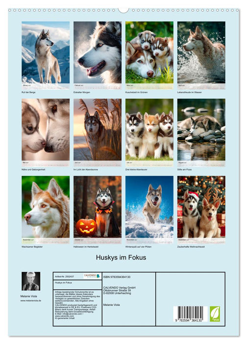 Huskys im Fokus (CALVENDO Premium Wandkalender 2027)