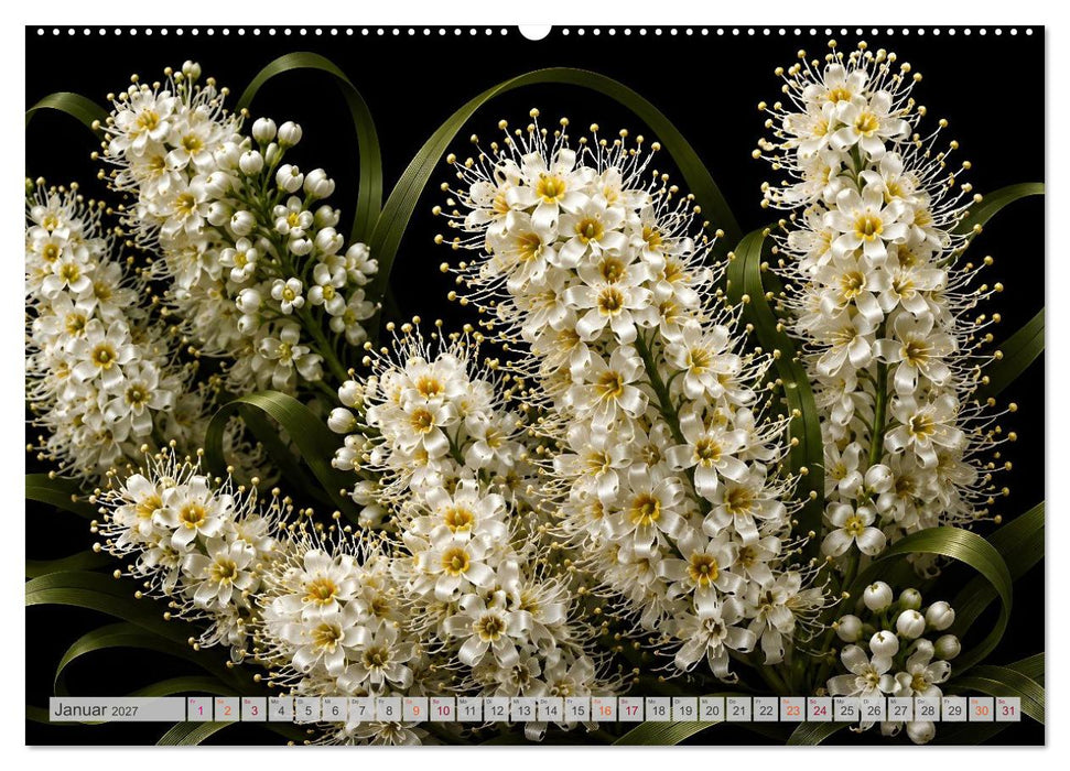 Blüten aus Licht und Form Botanik trifft und Kunst (CALVENDO Wandkalender 2027)