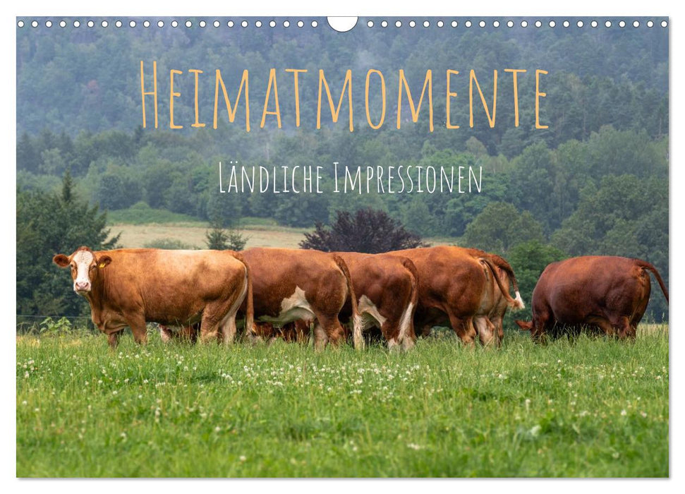 Heimatmomente - Ländliche Impressionen (CALVENDO Wandkalender 2027)