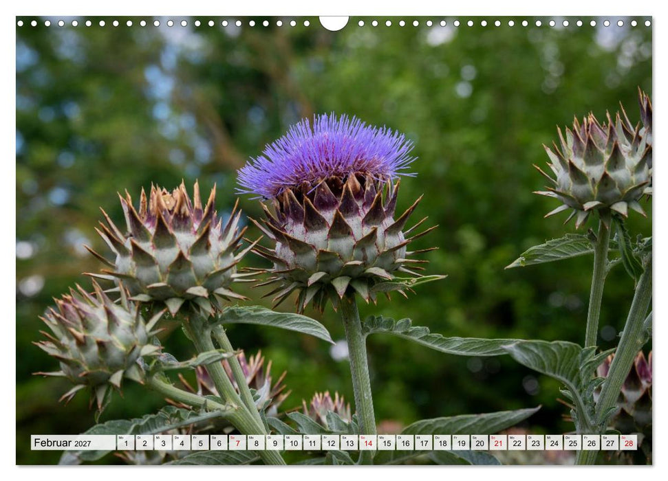 Heimatmomente - Ländliche Impressionen (CALVENDO Wandkalender 2027)