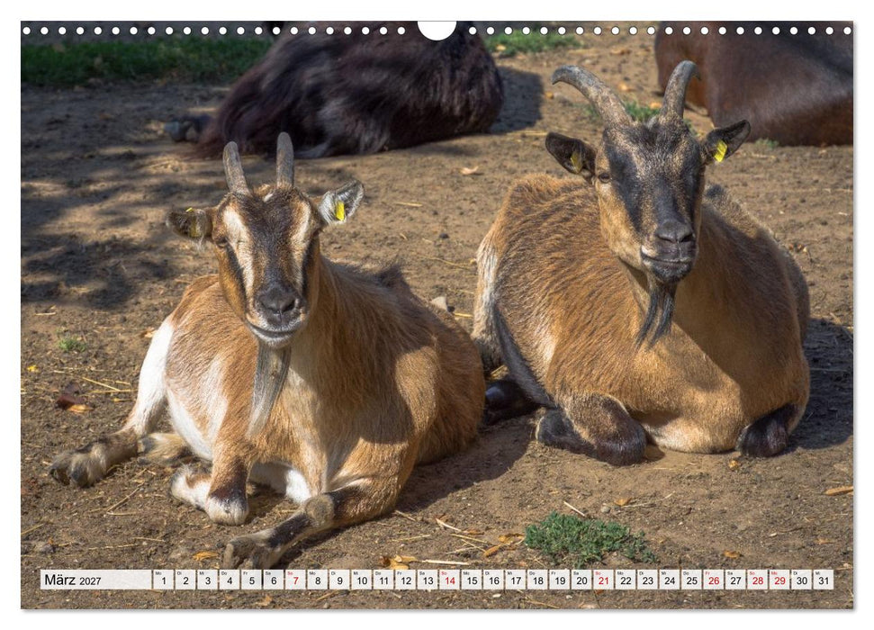 Heimatmomente - Ländliche Impressionen (CALVENDO Wandkalender 2027)